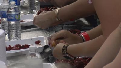 Breaux Bridge Crawfish Festival