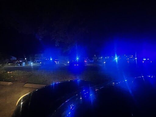 Vaucluse Drive Shooting