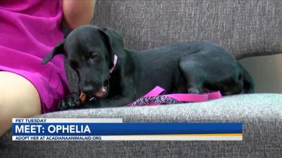 OPHELIA INTERVIEW.jpg
