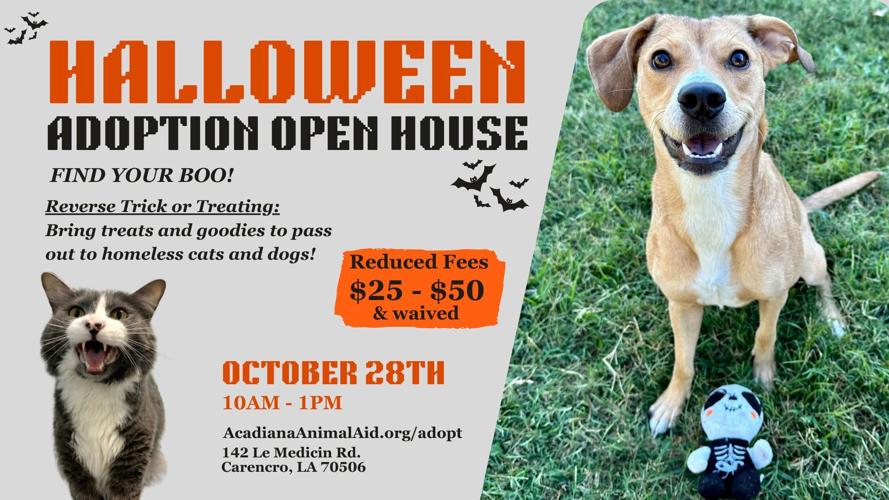 HALLOWEEN ADOPTION EVENT!.jpg