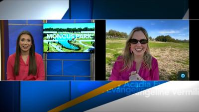 3 ways to love your park interview.jpg